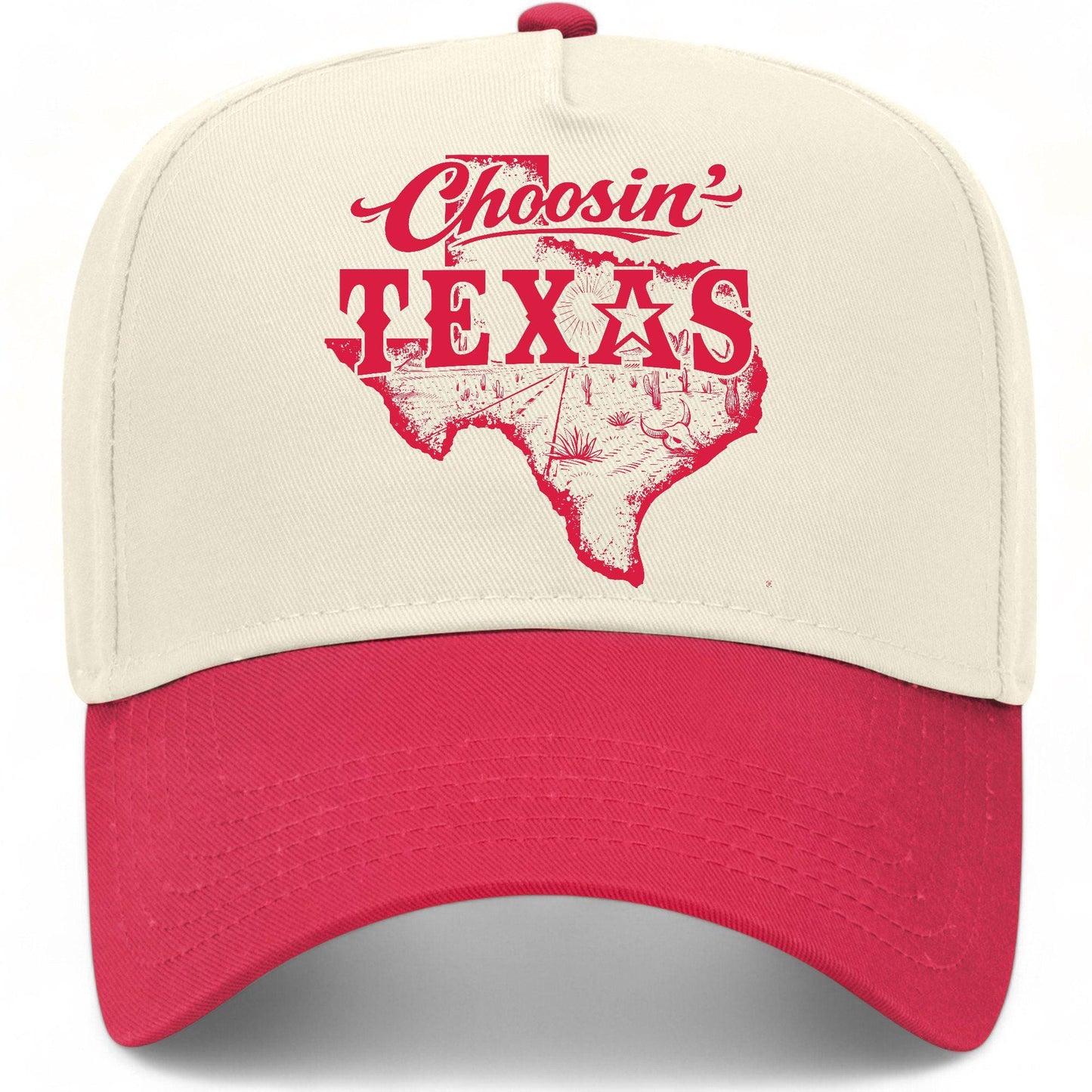 Choosin' Texas State Hat
