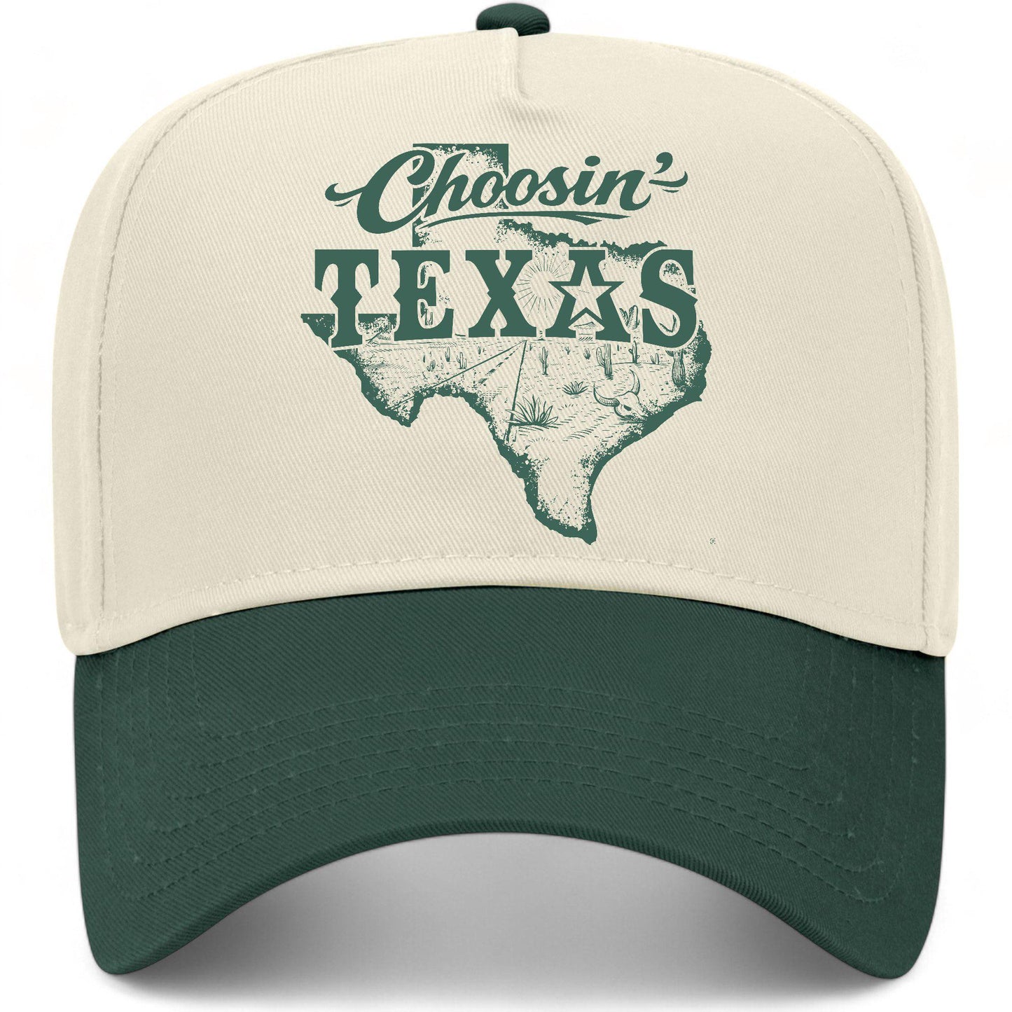 Choosin' Texas State Hat